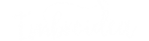 Embroidea - Download. Stitch. Impress. It's that simple.